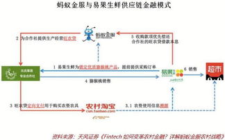 互聯(lián)網(wǎng)金融在三農(nóng)領(lǐng)域大有可為 互聯(lián)網(wǎng)銷售助力鄉(xiāng)村振興